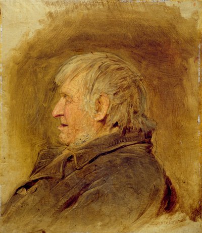 Estudio de perfil de un hombre anciano, 1884 de John Faed